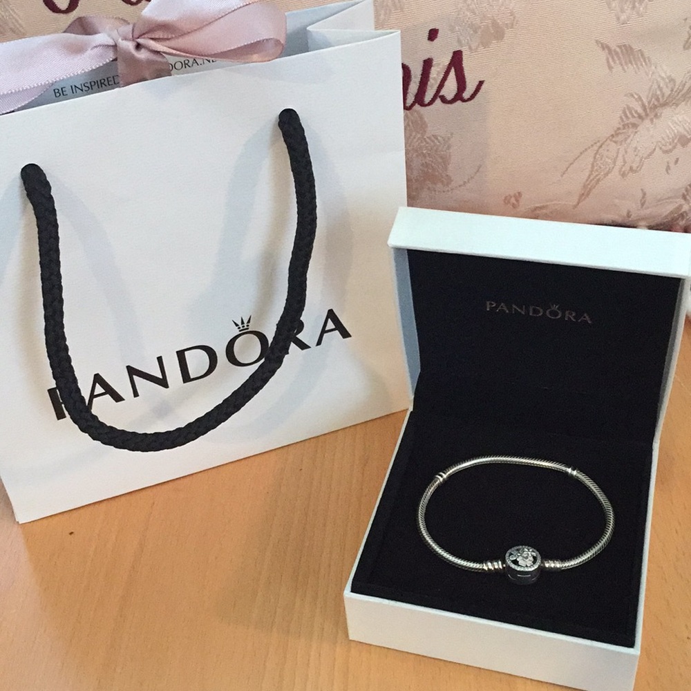 Authentic Pandora poetic blooms braided bracelet